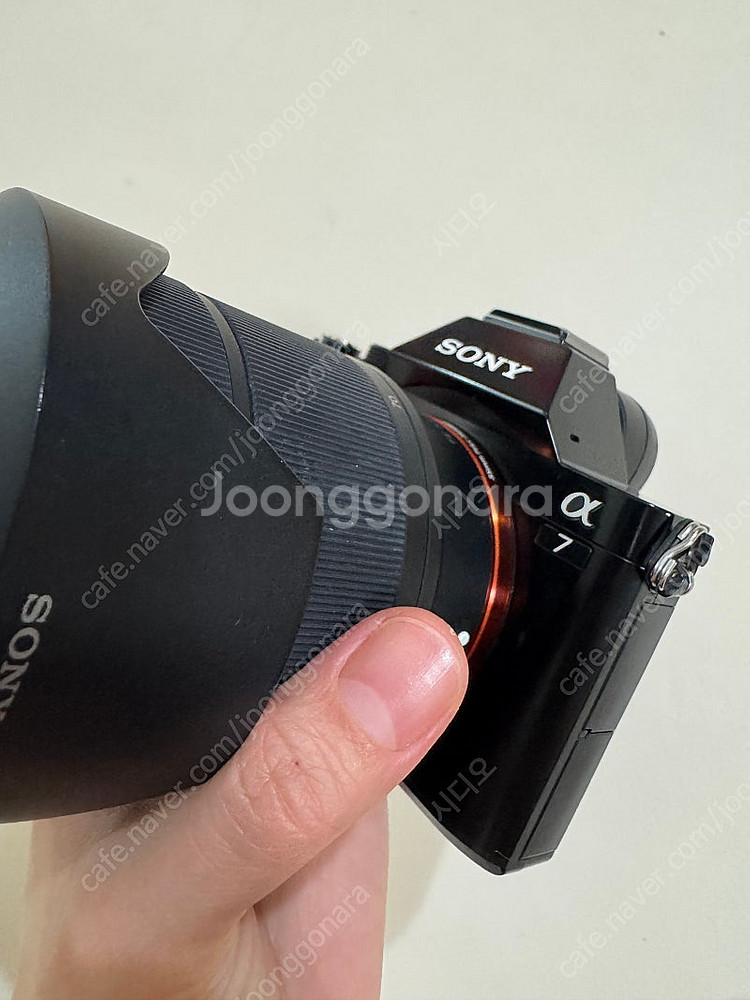 [개인] SONY 소니 알파7 미러리스 아이 찍어주는 ...--7