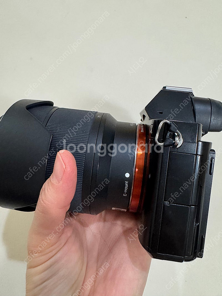 [개인] SONY 소니 알파7 미러리스 아이 찍어주는 ...--8