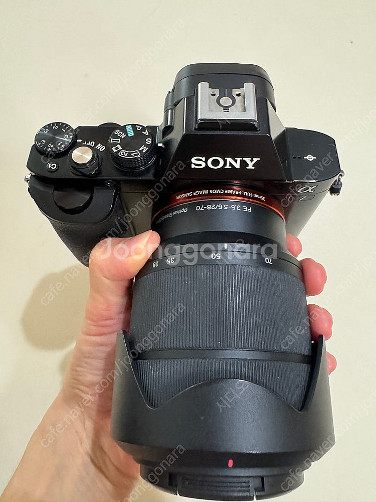 [개인] SONY 소니 알파7 미러리스 아이 찍어주는 ...--9