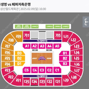 여자배구 2/9(일) 흥국생명 vs 페퍼저축은행