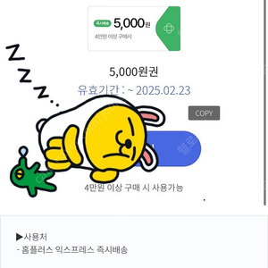 홈플러스 익스프레스 5000(4만원이상)