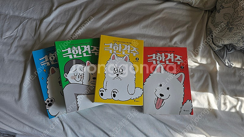 극한견주 1~4--0