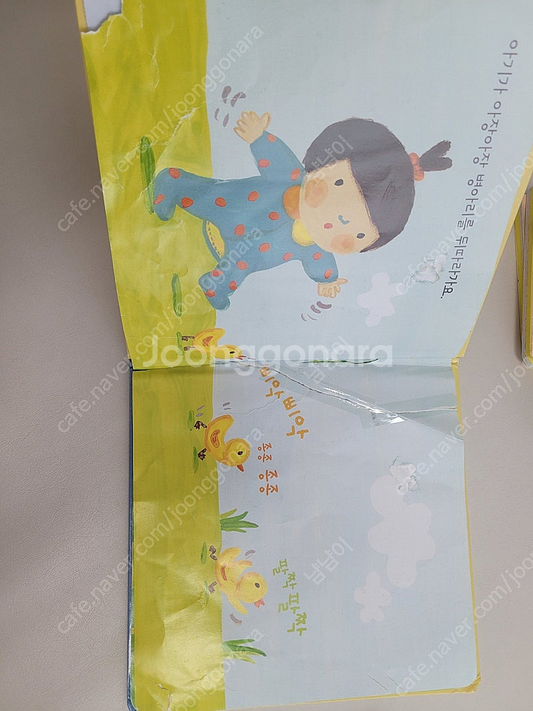 핀덴베베--3