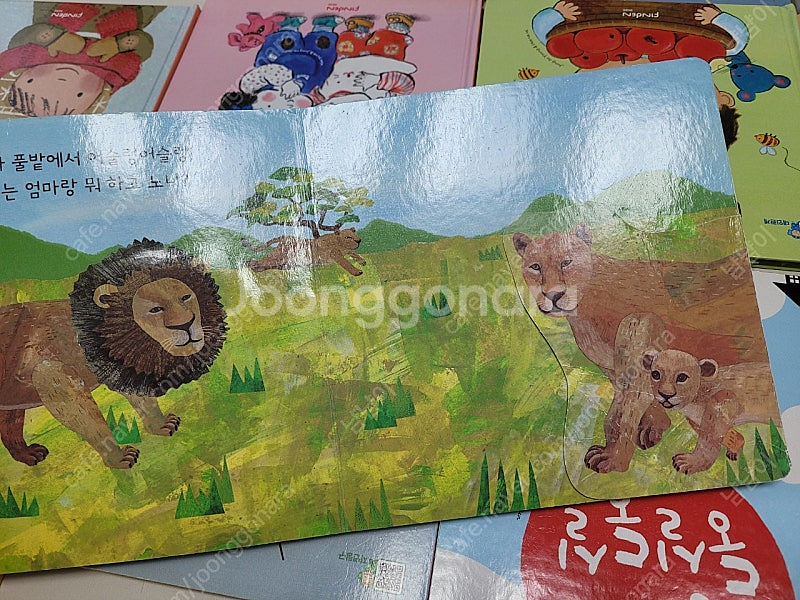 핀덴베베--6
