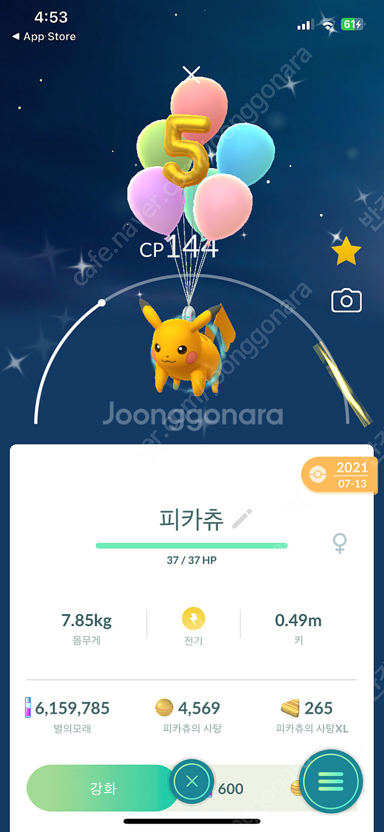 포켓몬고 피카츄 이로치 판매--0