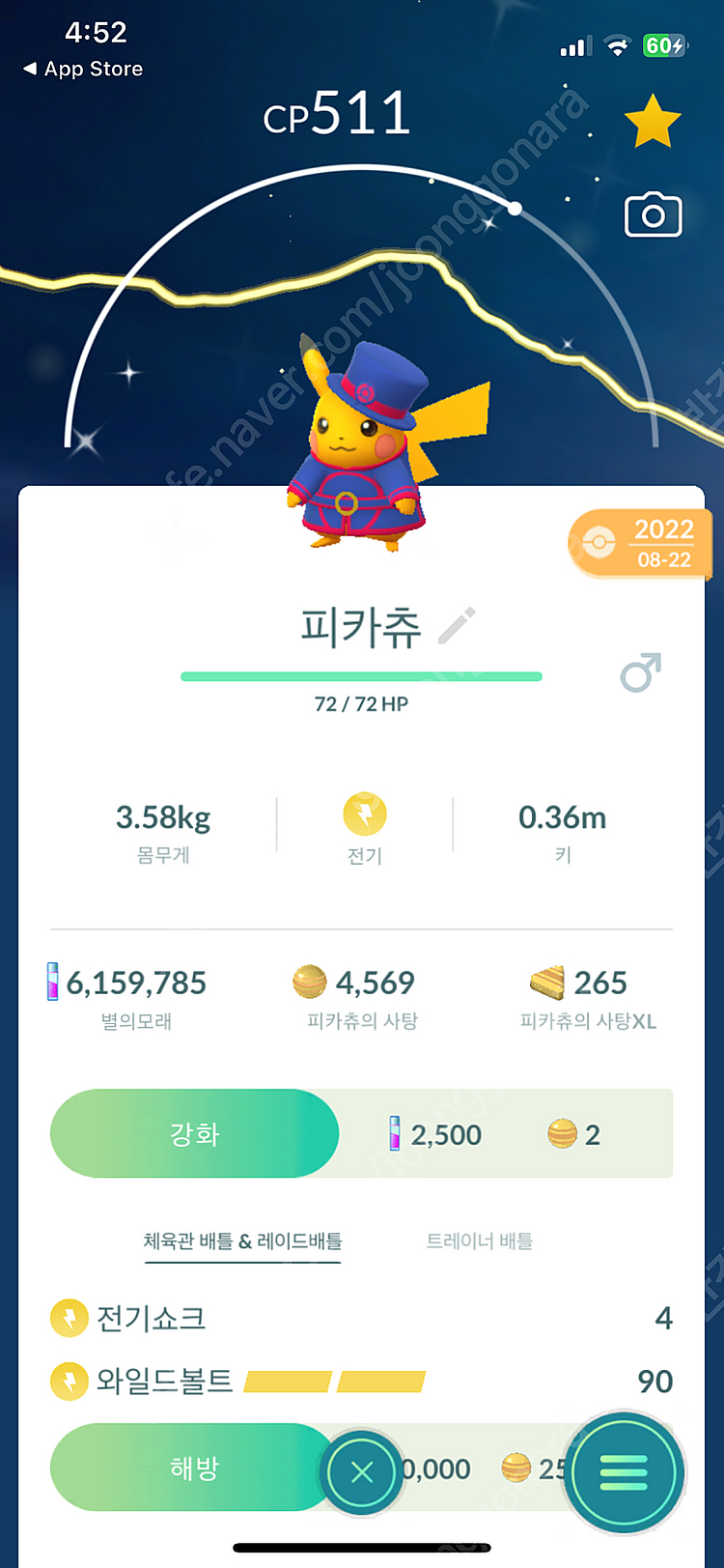 포켓몬고 피카츄 이로치 판매--1
