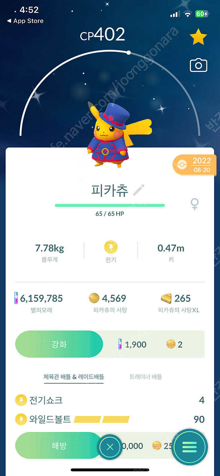 포켓몬고 피카츄 이로치 판매--2