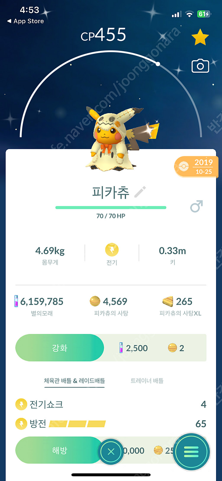 포켓몬고 피카츄 이로치 판매--5