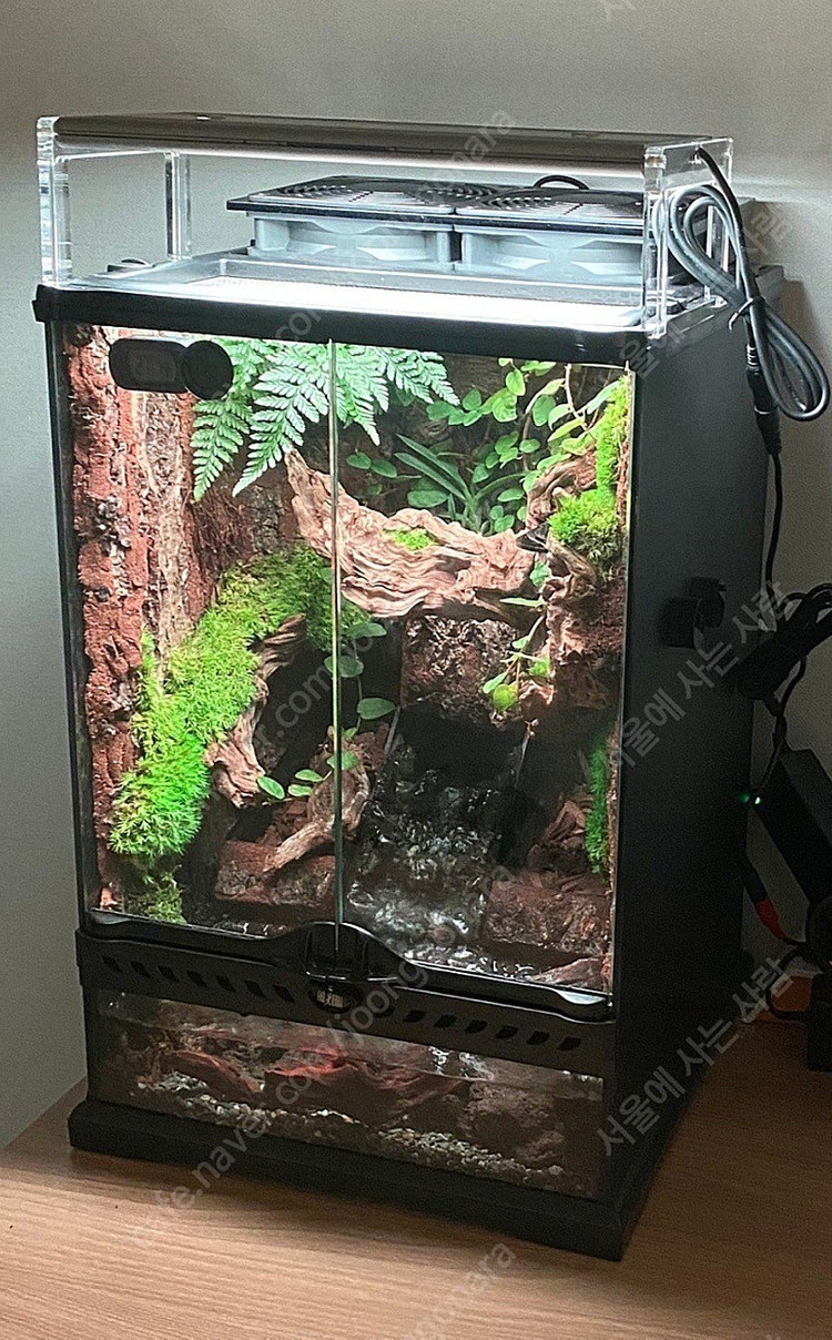 30 30 45 피치리움 팔루다리움 사육장 풀옵션 판매합니다--1