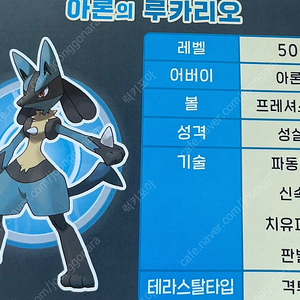 포켓몬스터 극장판 루카리오 코드