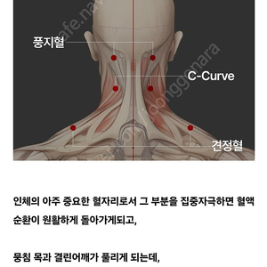 닌텐도 슈퍼마리오 오디세이 택포 삽니다