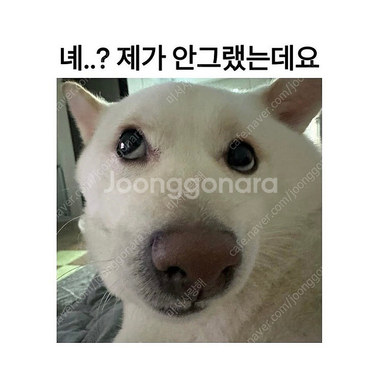 올리브영기프티콘5만원권 삽니다--0