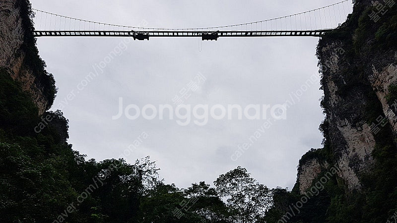 인하,캐논EOS650(A급,장동건카메라),2CR5 모든...--0
