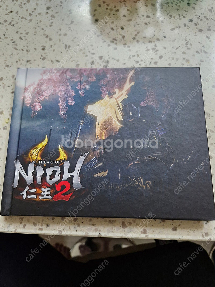 PS4 인왕2 스페셜에디션(택포)--4