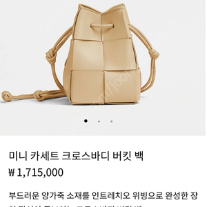 보테가 베네타(BOTTEGA VENETA) 미니 카세트 버킷 백