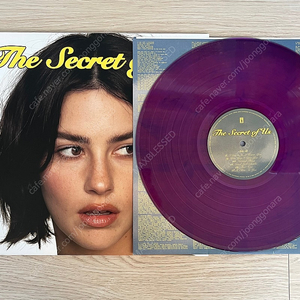 gracie abrams the secret of us lp vinyl