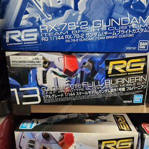 Rg gp01풀버니언