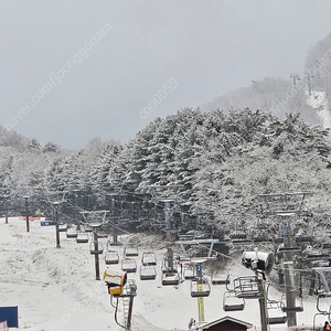 비발디파크 리프크권