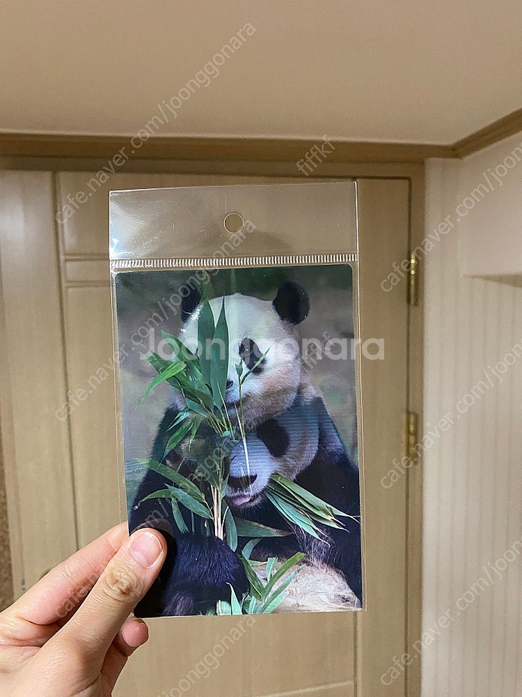 에버랜드 푸바오 러바오 엽서--0