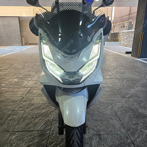 Pcx22년1인보유처분합니다