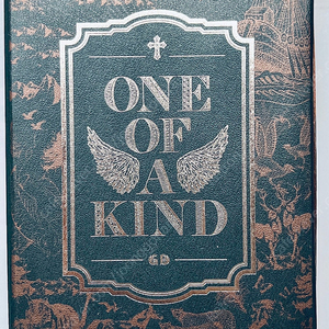 Gd 지드래곤 미니1집 One Of A Kind 브론즈 음반 cd