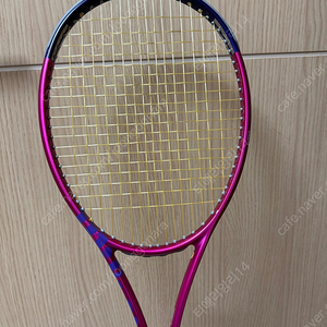 윌슨 블레이드 v8 305g 테니스 라켓