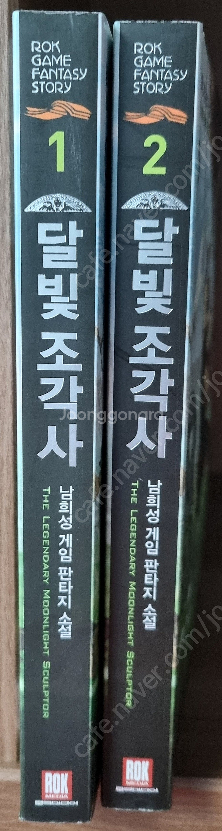 판타지 소설 매직스쿨 캘라드리안, 케이, 유렌, 이드,...--8