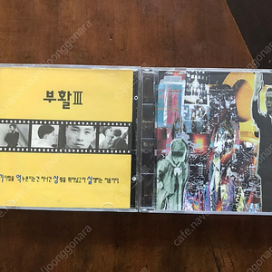 부활, 시나위 CD