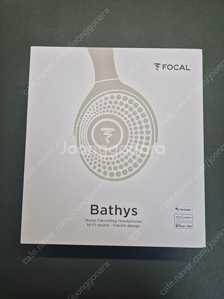 포칼 베티스 헤드폰 듄 색상 Focal Bathys--9