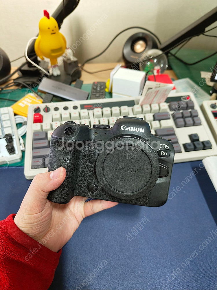캐논 canon eos r6 알육 + 탐론 tamron...--1