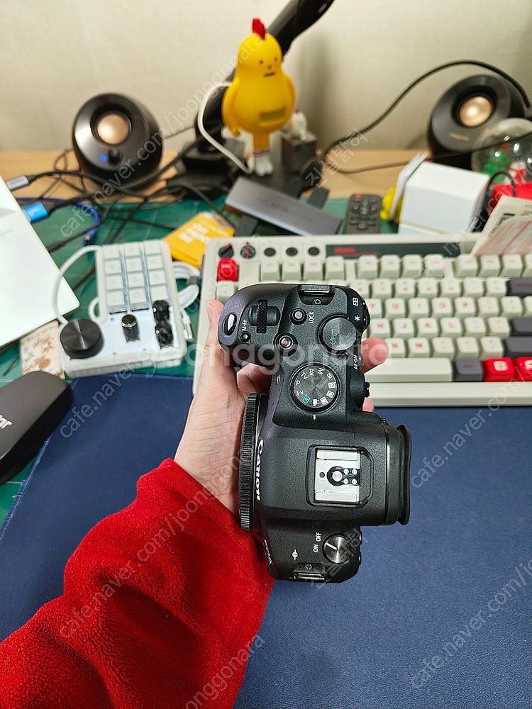 캐논 canon eos r6 알육 + 탐론 tamron...--4