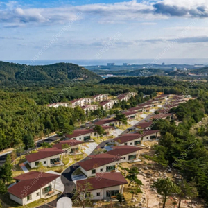 2월 토요일 켄싱턴리조트 설악비치. 설악밸리 양도합니다