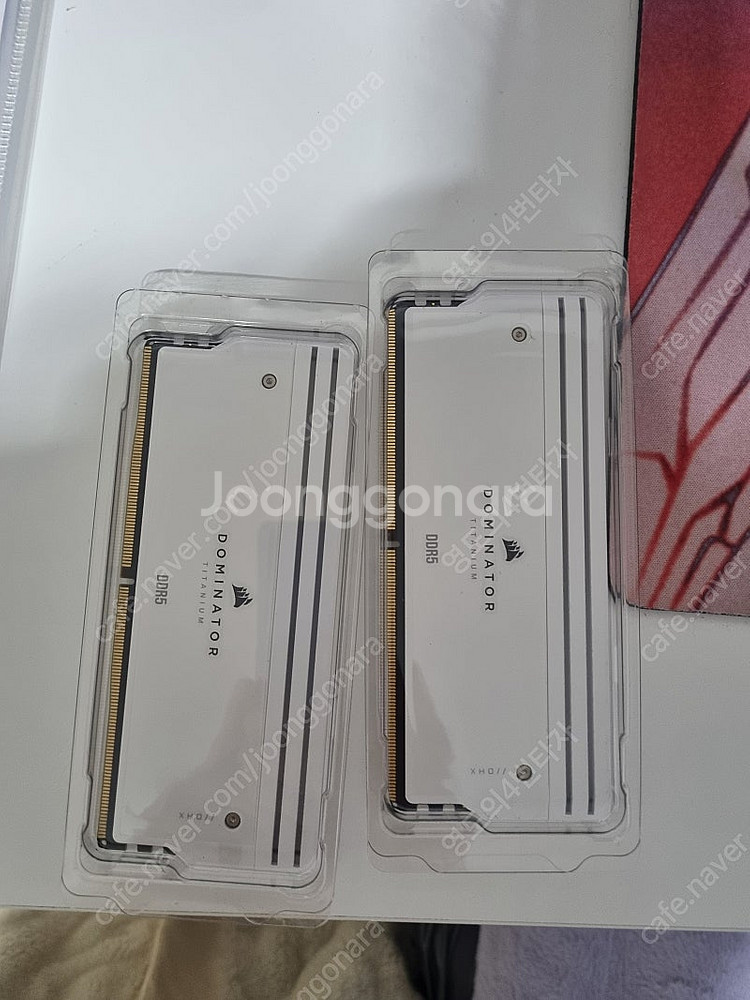 카세어 도미네이터 티타늄 16×2 cl30 6000--0