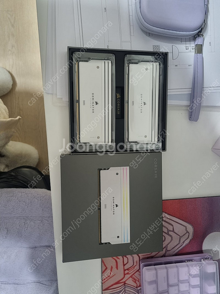 카세어 도미네이터 티타늄 16×2 cl30 6000--1