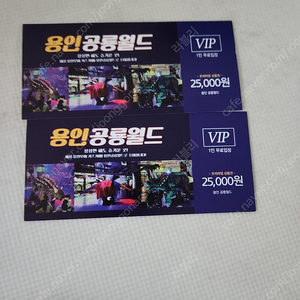 용인 공룡랜드 VIP 이용권 2매 25.02.28일까지