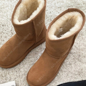 (새상품) UGG 어그부츠 클래식 230사이즈 (정가278,000원)