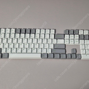 PBT 키캡