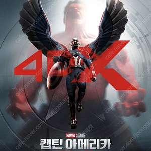 CGV 아이맥스 IMAX 포디엑스 4DX 스크린엑스 SCREENX 스위트박스 SWEETBOX 커플석 롯데시네마 메가박스 돌비 / 검은수녀들 쿠로코의농구 캡틴아메리카 위키드 히트맨