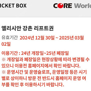 엘리시안 강촌 주중리프트권