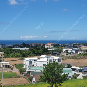 [급양도] 제주 애월 오션뷰 한달살기 숙소 3주 살기