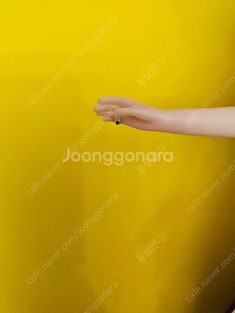 제니인형 리카캐슬 제니 리카인형 미미인형 쥬쥬인형 바비...--4