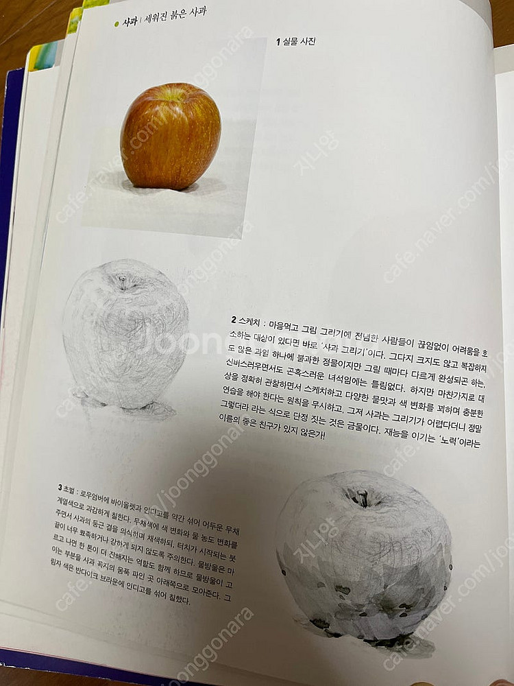 정물수채화--3