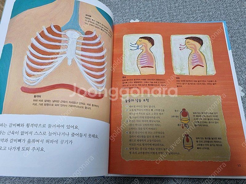 스마트 원리 과학--2