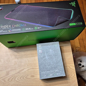 RAZER 데스에더 V3 PRO + 스트라이더 크로마