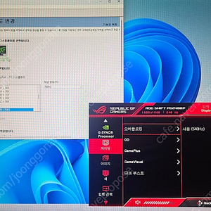 (대구)asus pg248qp 540hz 모니터 판매합니다