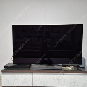 LG oled 올레드 tv 55인치 스탠드형