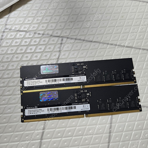 팀그룹 DDR5 5600 16GB ×2 (32GB)