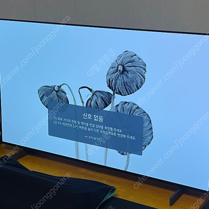 LG OLED 42C4CNA 팝니다.