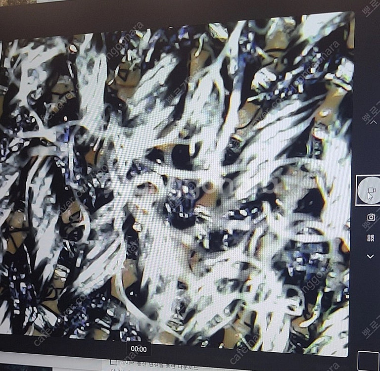 어린이 USB현미경 택포1만--1