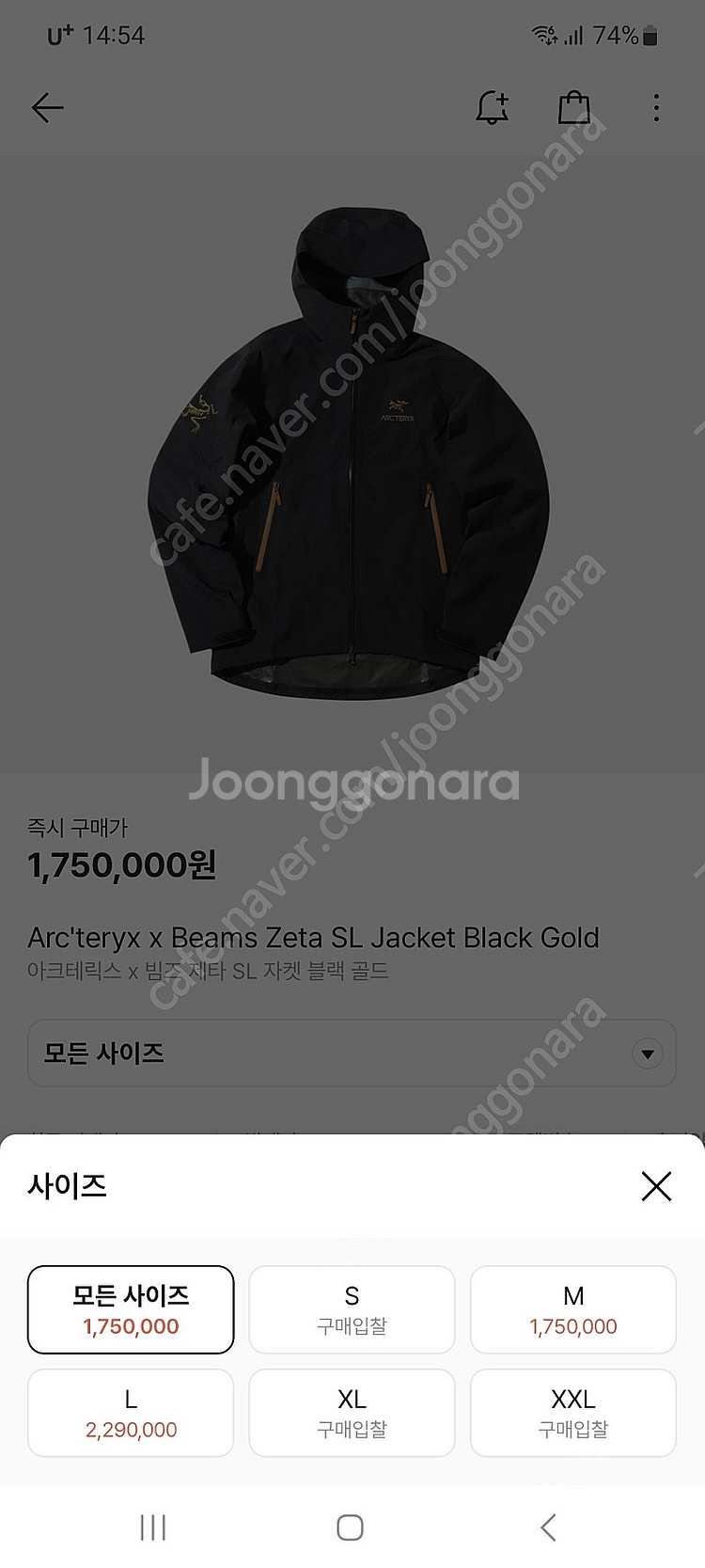 XL) 아크테릭스 빔즈 제타 SL 블랙 골드--0